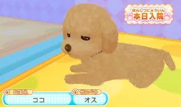 Wan Nyan Dobutsu Byouin - Suteki na Juui-San ni Narou! (Japan) screen shot game playing